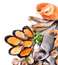 Рыба, икра, морепродукты